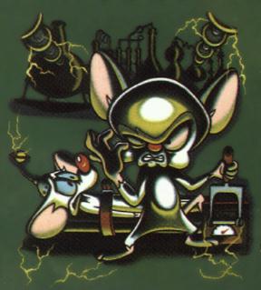 Mayor